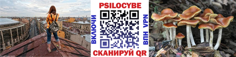 Галлюциногенные грибы ЛСД  Гаджиево 